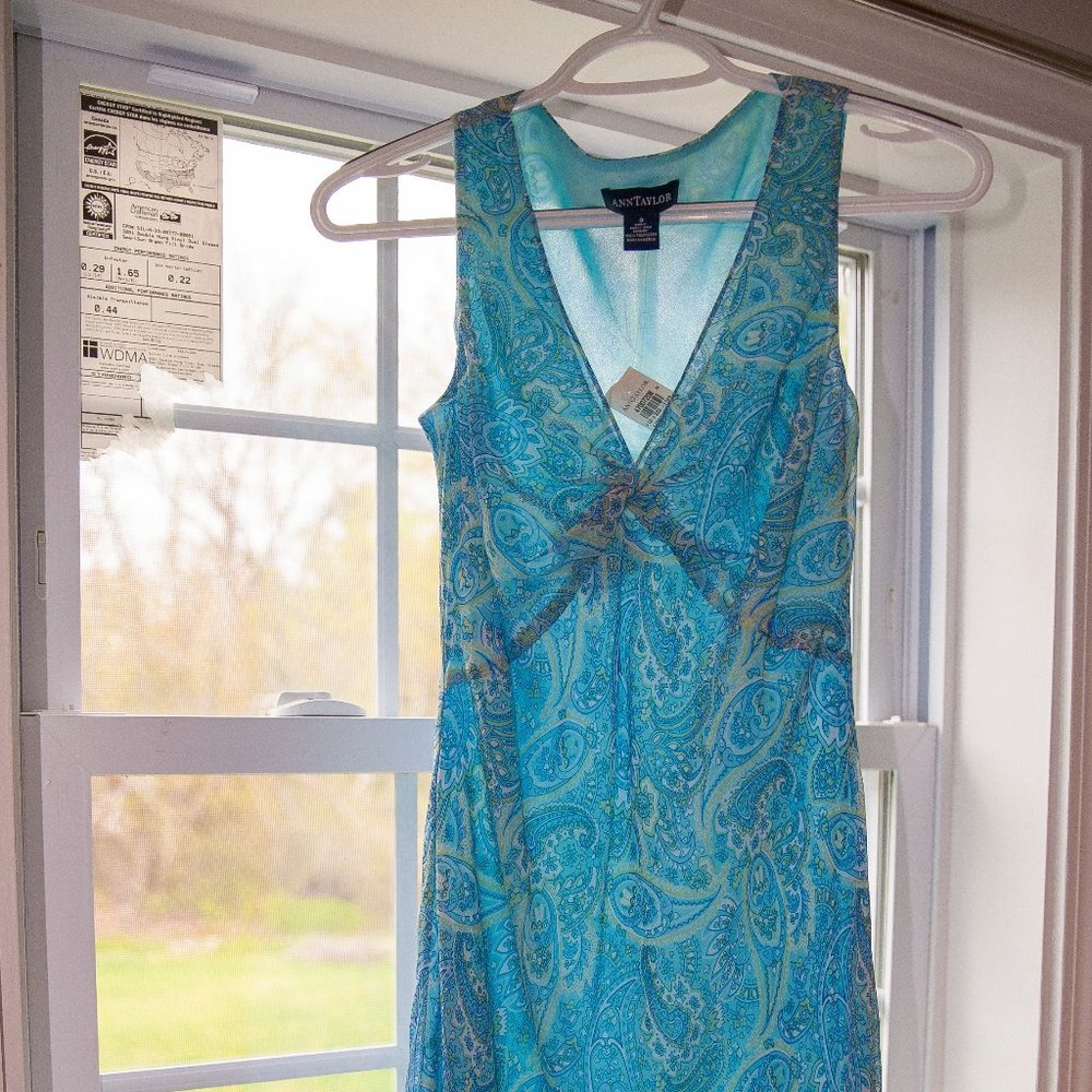 Blue Paisley A-Line Ann Taylor Silk Dress